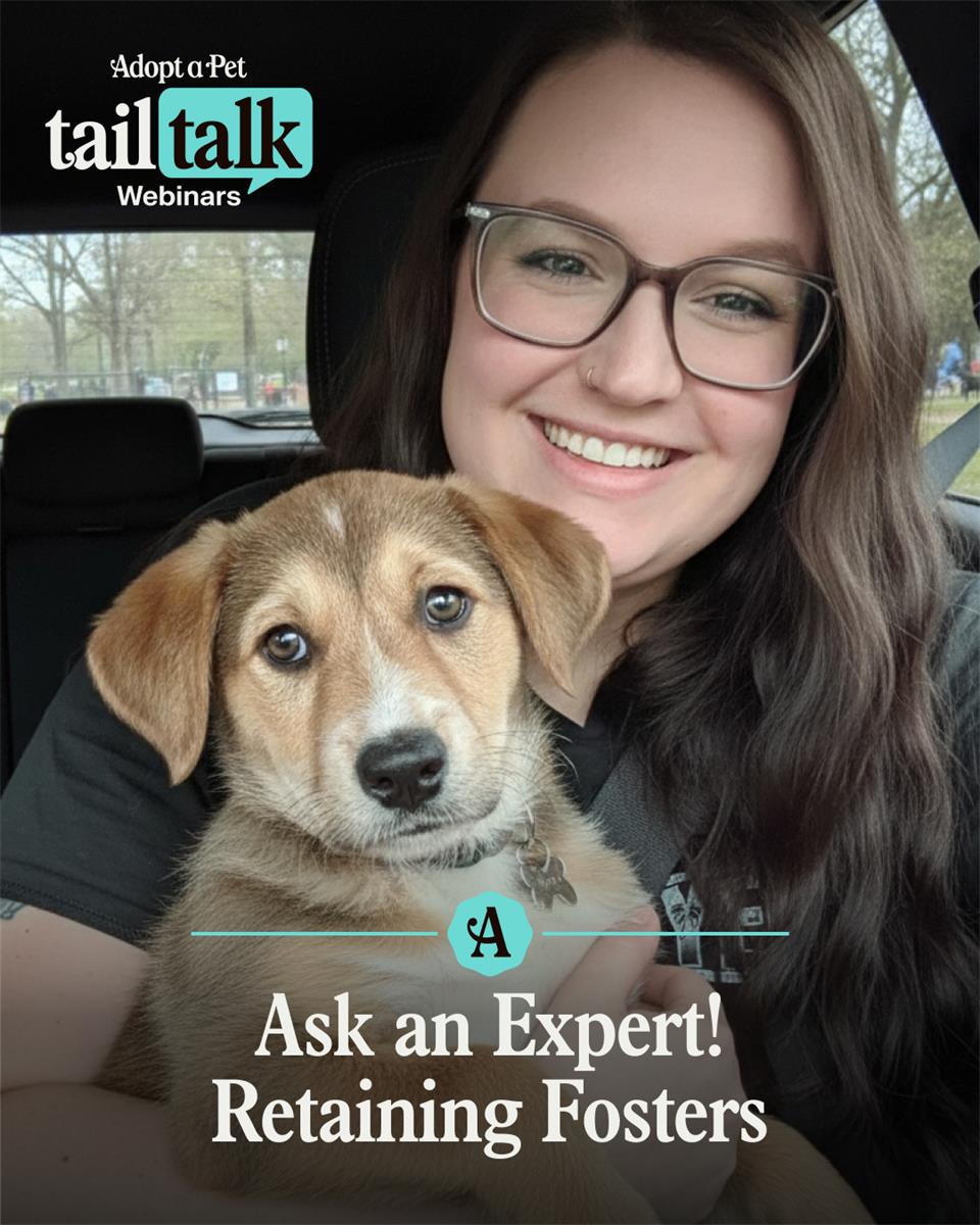 TailTalk webinar Tuesday, August 25, 2026  12:00 pm ET